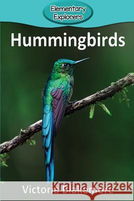 Hummingbirds Victoria Blakemore 9781948388481 Victoria Blakemore