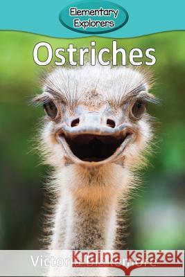 Ostriches Victoria Blakemore 9781948388627 Victoria Blakemore