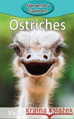 Ostriches Victoria Blakemore 9781948388634 Victoria Blakemore