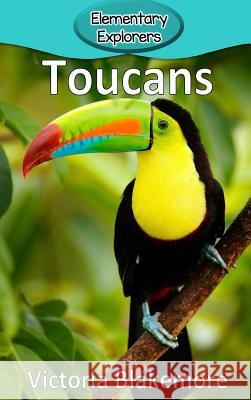 Toucans Victoria Blakemore 9781948388856 Victoria Blakemore