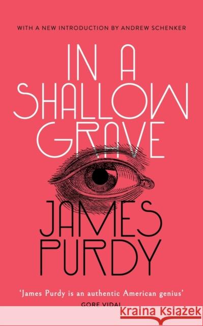 In a Shallow Grave (Valancourt 20th Century Classics) James Purdy, Andrew Schenker 9781948405249