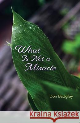 What Is Not a Miracle Don Badgley 9781948461870 Poetry Box
