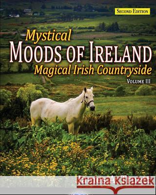 Magical Irish Countryside: Mystical Moods of Ireland, Vol. III Truett, James a. 9781948522021 Truestar Publishing