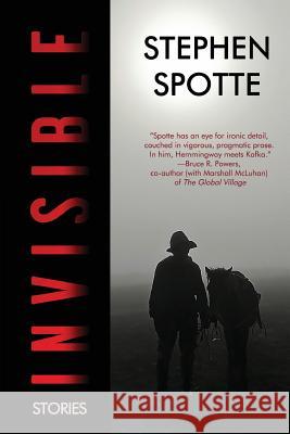 Invisible: Stories Stephen Spotte 9781948598101