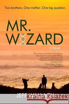 Mr. Wizard Jeff Wallach 9781948598309 Open Books Publishing (UK)