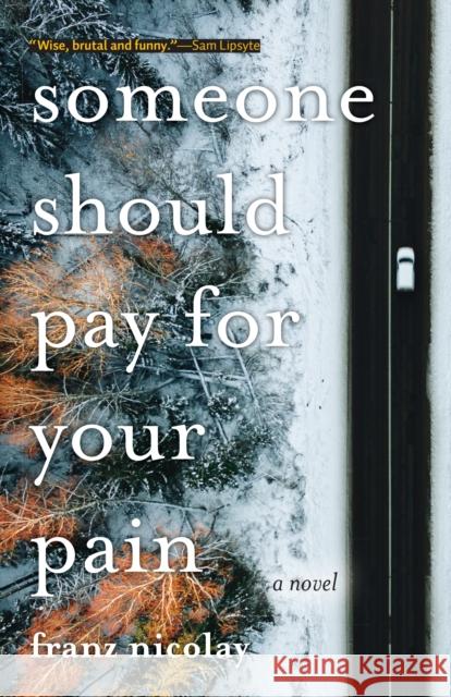 Someone Should Pay for Your Pain: A Novel Franz Nicolay 9781948721134