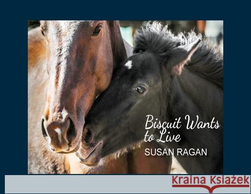 Biscuit Wants to Live Susan C. Ragan Bayles Fred 9781948808019