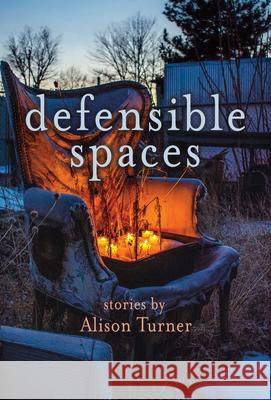 Defensible Spaces  9781948814676 Torrey House Press