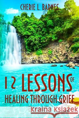 12 Lessons of Healing Through Grief Cherie L. Barnes 9781948829014