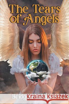 The Tears of Angels Bridget P. Walker 9781948864404