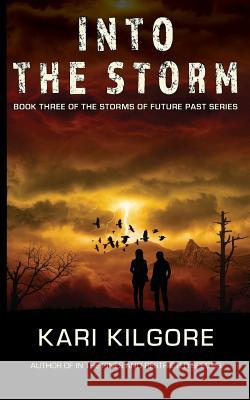 Into the Storm Kari Kilgore 9781948890090 Spiral Publishing, Ltd.