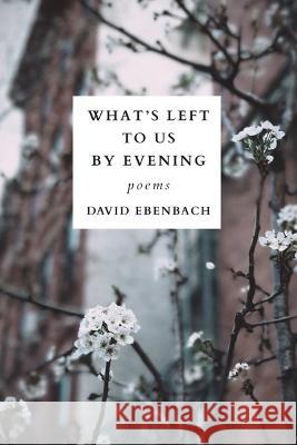 What's Left to Us by Evening David Ebenbach 9781949039368 Orison Books