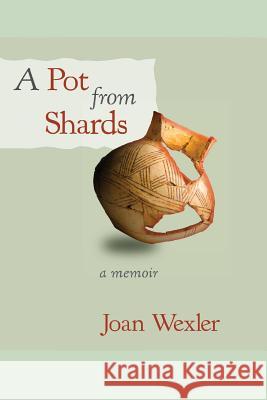 A Pot From Shards Joan Wexler 9781949093322 Ipbooks