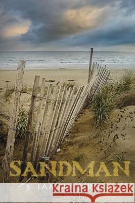 Sandman Tammy Bird 9781949096033 Flashpoint Publications