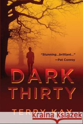 Dark Thirty Terry Kay 9781949135473 Untreed Reads Publishing