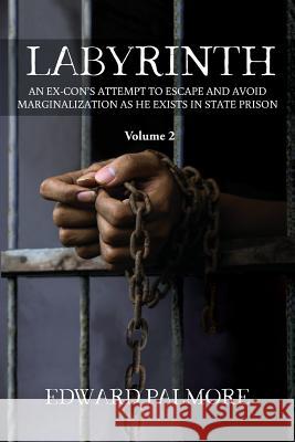 Labyrinth: Volume 2: AN EX-CON'S ATTEMPT TO ESCAPE AND AVOID MARGINALIZATION AS HE EXISTS IN STATE PRISON Palmore, Edward 9781949169119 Toplink Publishing, LLC