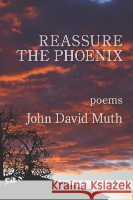 Reassure the Phoenix David John Muth 9781949229950