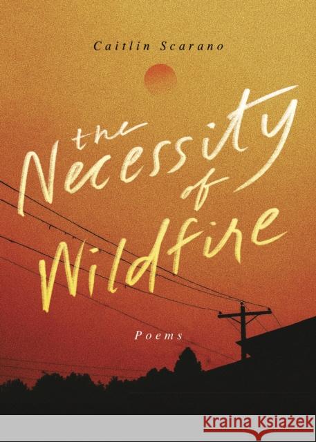 The Necessity of Wildfire: Poems  9781949467789 Blair