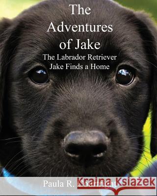 The Adventure of Jake the Labrador Retriever: Jake Finds a Home Paula R. Courtright 9781949473131 Folioavenue Publishing Service