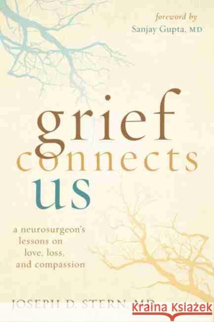Grief Connects Us: A Neurosurgeon's Lessons on Love, Loss, and Compassion Stern, Joseph D. 9781949481518 Central Recovery Press
