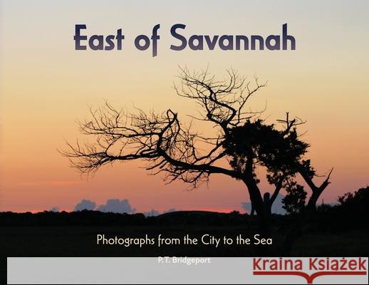 East of Savannah: Photographs from the City to the Sea P T Bridgeport, Ed Eckstrand 9781949512045 Pescaton Press