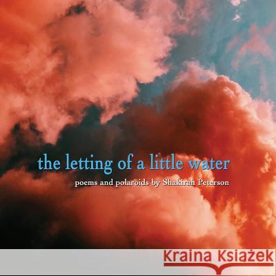 The Letting of a Little Water Shakirah Peterson 9781949713060 World Stage Press