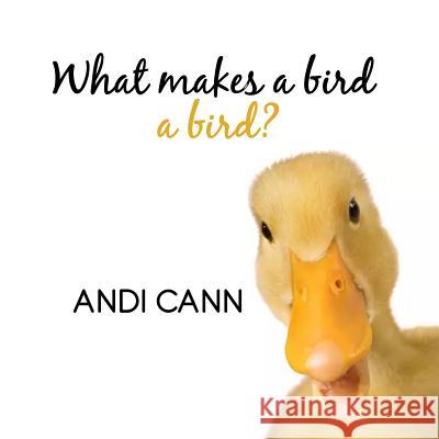 What Makes a Bird a Bird? Andi Cann 9781949761139