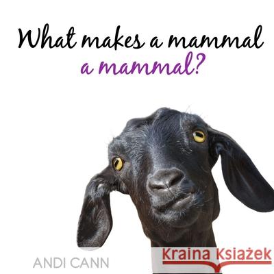 What Makes a Mammal a Mammal? Andi Cann 9781949761184