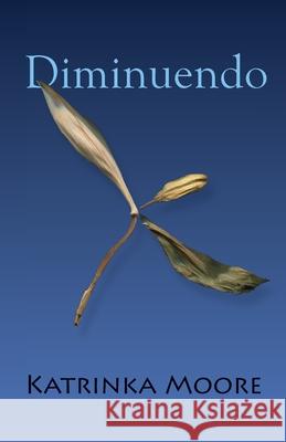Diminuendo Katrinka Moore   9781949790665 Pelekinesis