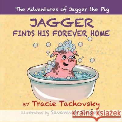 Jagger Finds his Forever Home Tracie Tachovsky Savannah Reifers 9781949813487 Zamiz Press