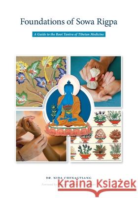 Foundations of Sowa Rigpa: A Guide to the Root Tantra of Tibetan Medicine Nida Chenagtsang Robert Thurman 9781950153206