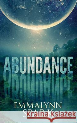 Abundance Emmalynn Spark 9781950412297 Ninestar Press