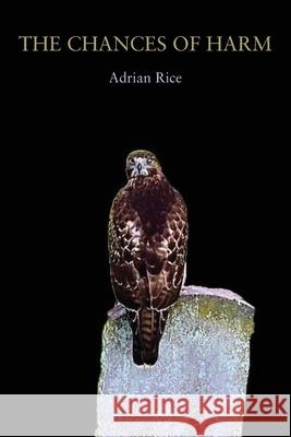 The Chances of Harm: Poems Adrian Rice 9781950413843