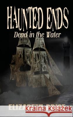 Haunted Ends: Dead in the Water Elizabeth Price 9781950502479 Liminal Books