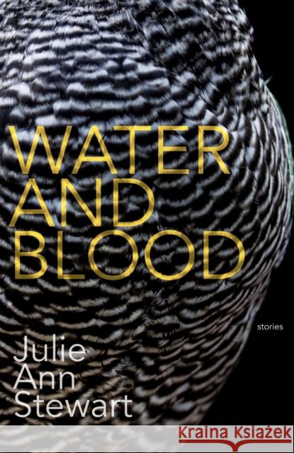 Water and Blood Julie Stewart 9781950539437 Dzanc Books