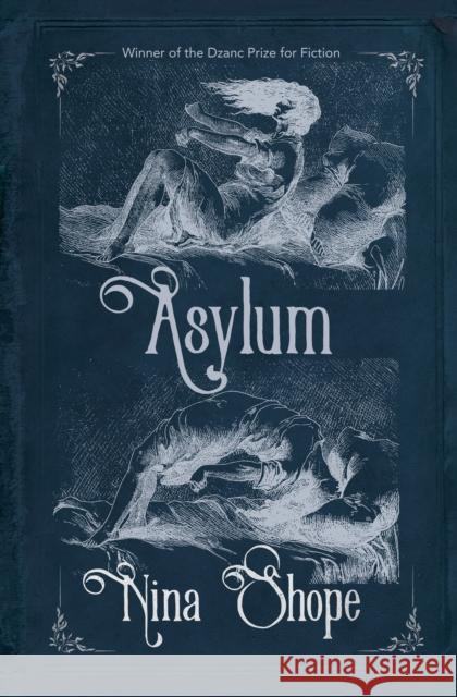 Asylum Nina Shope 9781950539512