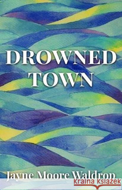 Drowned Town Jayne Moore Waldrop 9781950564156 Fireside Industries