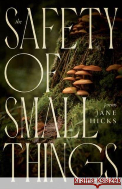 The Safety of Small Things: Poems Jane Hicks 9781950564378 The University Press of Kentucky