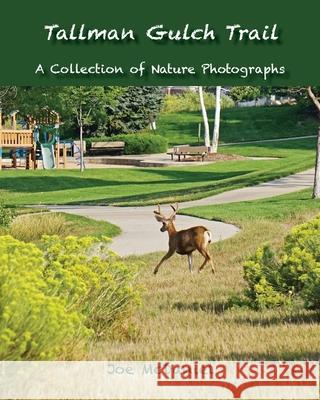 Tallman Gulch Trail Joe G. McDaniel 9781950647682 Bookcrafters