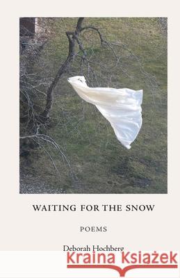 Waiting for the Snow: Poems Deborah Hochberg 9781950659968