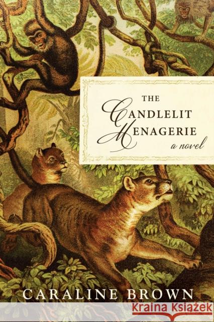 The Candlelit Menagerie: A Novel Caraline Brown 9781950691555 Skyhorse Publishing