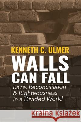 Walls Can Fall: Race, Reconciliation & Righteousness in a Divided World Kenneth C Ulmer, Alyssa Holmes 9781950718825 Dream Releaser Publishing