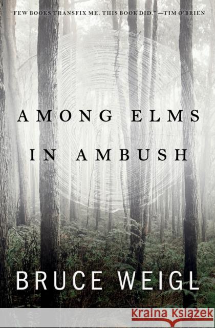 Among Elms, in Ambush Bruce Weigl 9781950774418 BOA Editions