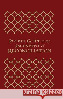Pocket Guide to the Sacrament of Reconciliation Schmitz Fr Mike and Johnson Fr Josh 9781950784554