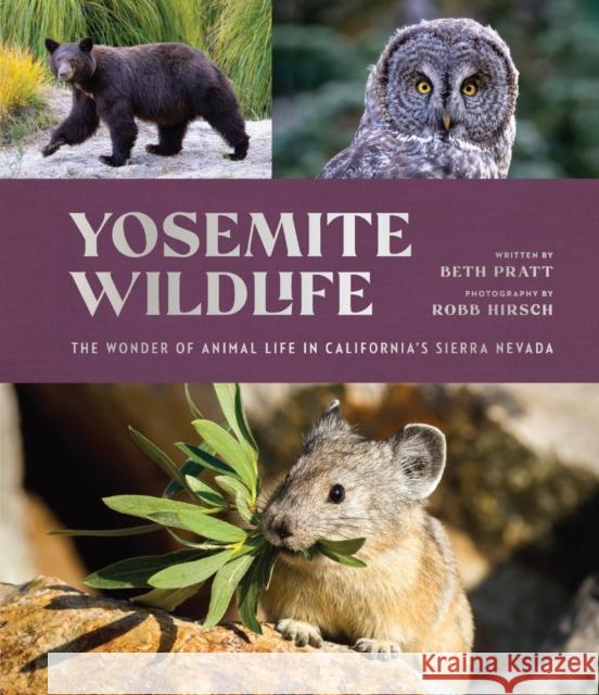 Yosemite Wildlife: The Wonder of Animal Life in California's Sierra Nevada Beth Pratt 9781951179267 Yosemite Conservancy