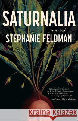 Saturnalia Stephanie Feldman 9781951213640