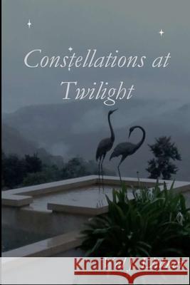 Constellations at Twilight Val J. Littman 9781951472665 Parson's Porch