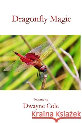 Dragonfly Magic Dwayne Cole Wilbur Reid 9781951472986 Parson's Porch