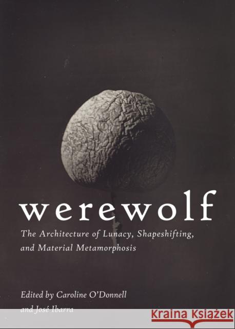 Werewolf: The Architecture of Lunacy, Shapeshifting, and Material Metamorphosis  9781951541132 Applied Research & Design