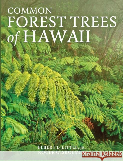 Common Forest Trees of Hawaii Elbert L. Little Roger G. Skolmen 9781951682453 Pathfinder Books